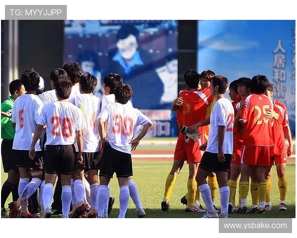 中甲中乙两队送礼被罚十万 中甲中乙两队送礼被罚十万